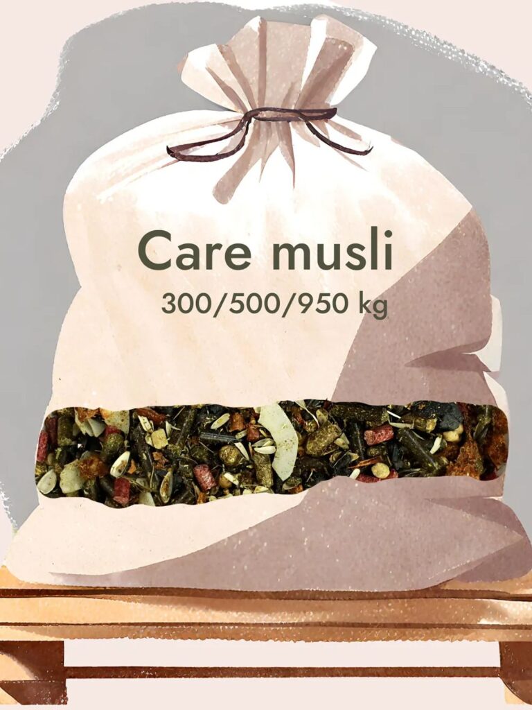 Care Musli BIGBAG