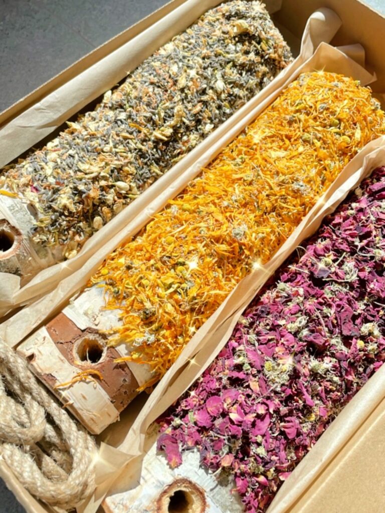 Classic Horse Lolies Pack