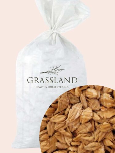 Jęczmień mikronizowany