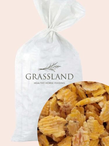 Kukurydza mikronizowana