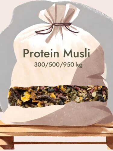 Protein musli BIGBAG