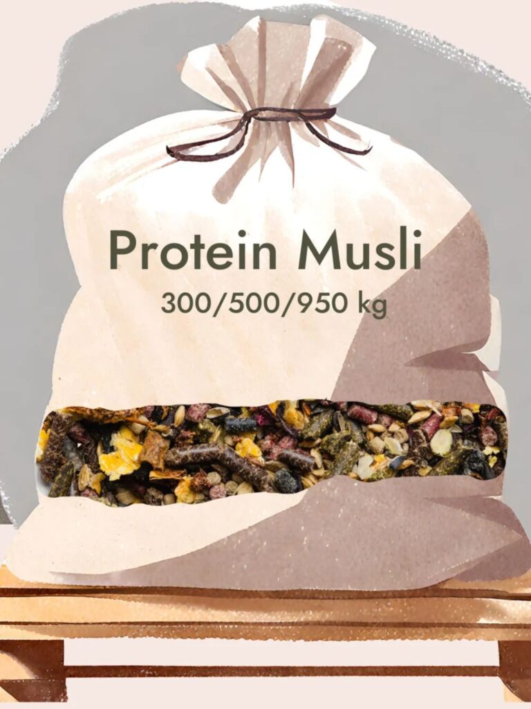Protein musli BIGBAG