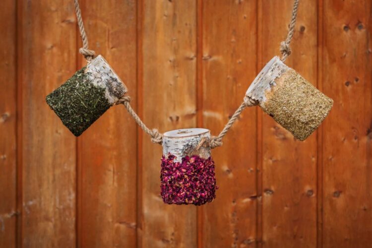 Własny zestaw gryzaków- 3 sztuki 2