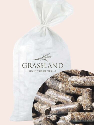 Wysłodki buraczane niemelasowane