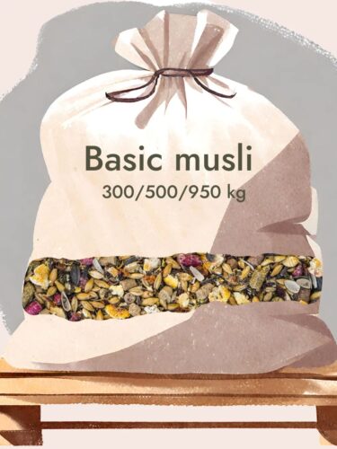 basic-musli-big-bag