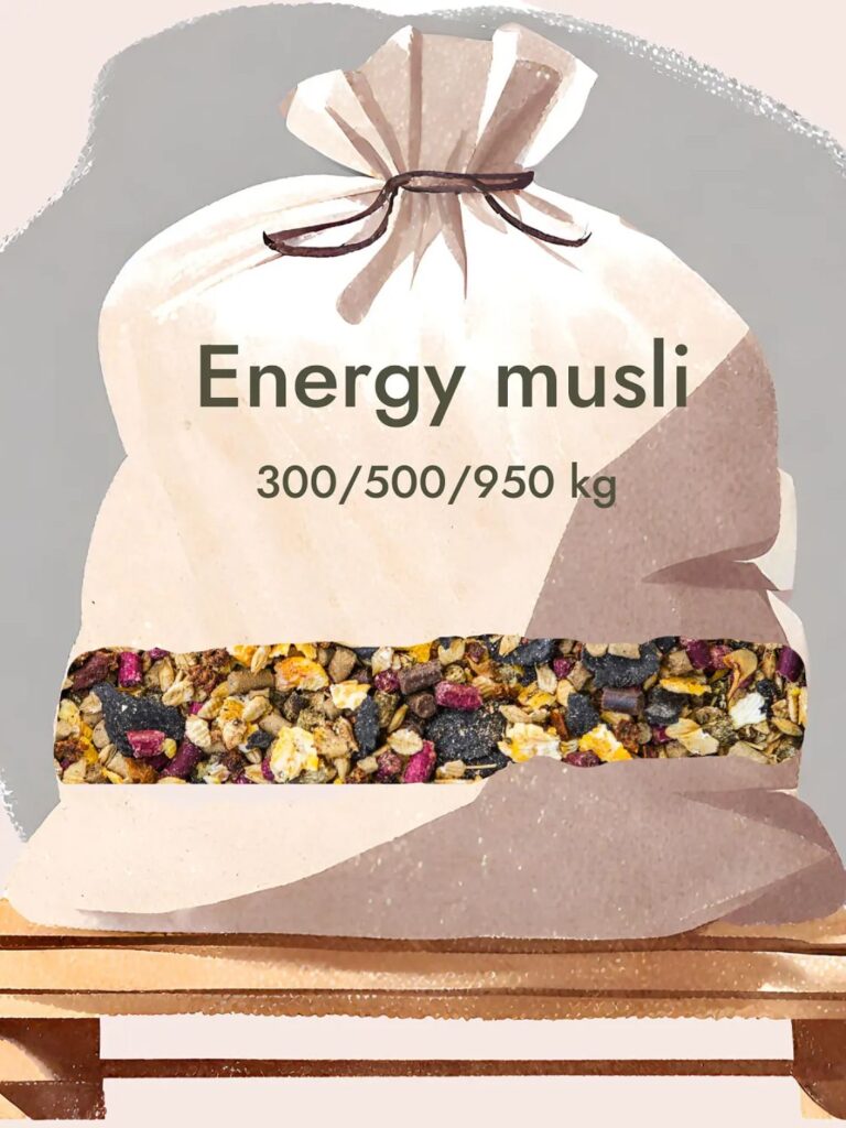 Energy Musli BIGBAG