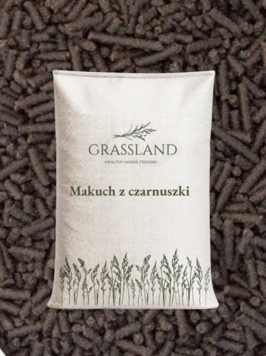 grafika www okładka – lizawki