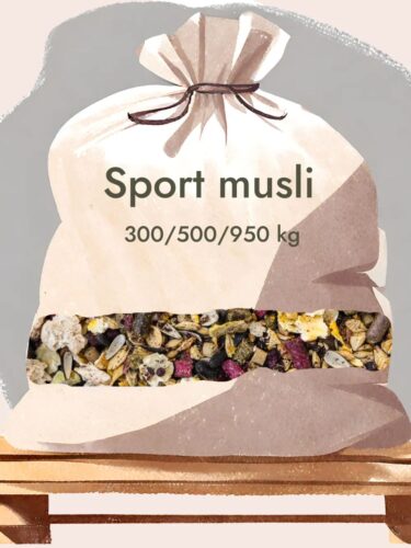sport musli bigbag 1