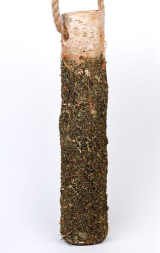 36037a89-cd3d-4556-987c-37d2ed06f16f