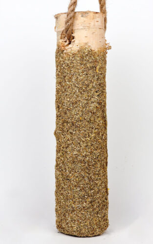 gryzak-3 – ze zmianami