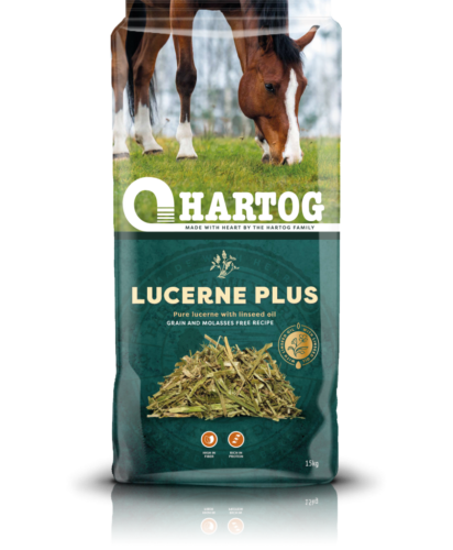 LUCERNE-REF-PACK-HR-1-843×1024